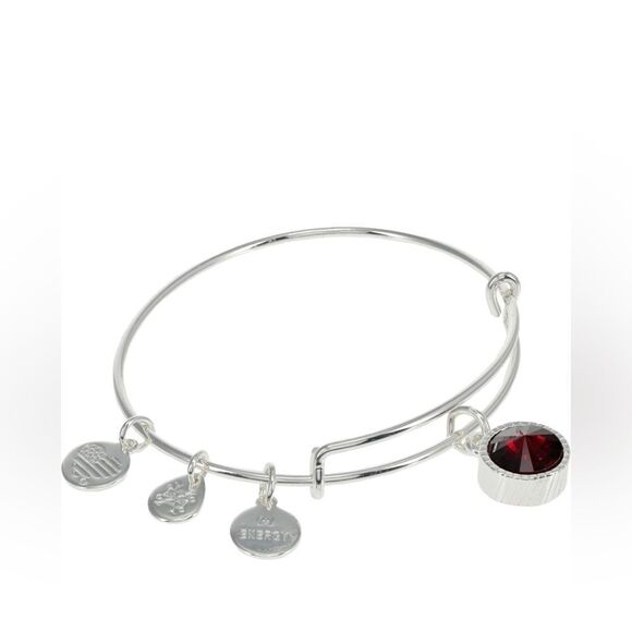 Alex and Ani Birthstones Expandable Bangle for Women, Birthday Crystal Charms - Picture 4 of 6